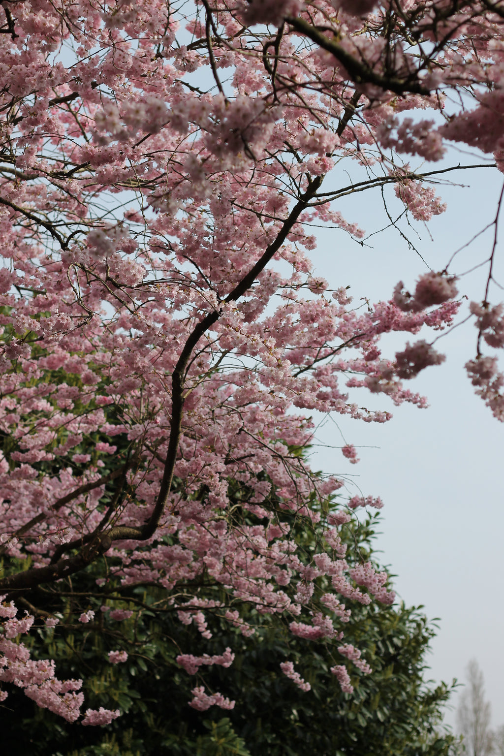 "Run Wild, Softly" Necklace